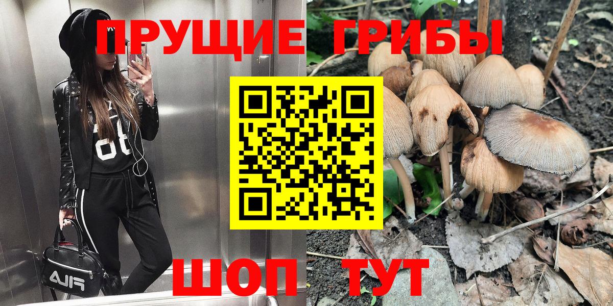 Псилоцибиновые грибы Psilocybine cubensis Урай